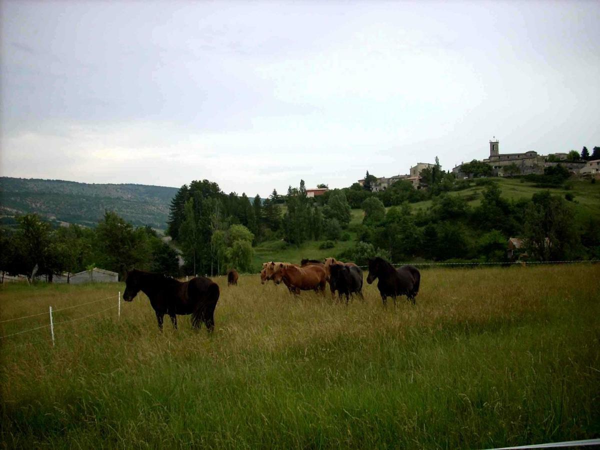 Gite Provence Luberon -Paca- Acces Pmr-Ancv Revest-des-Brousses Extérieur photo